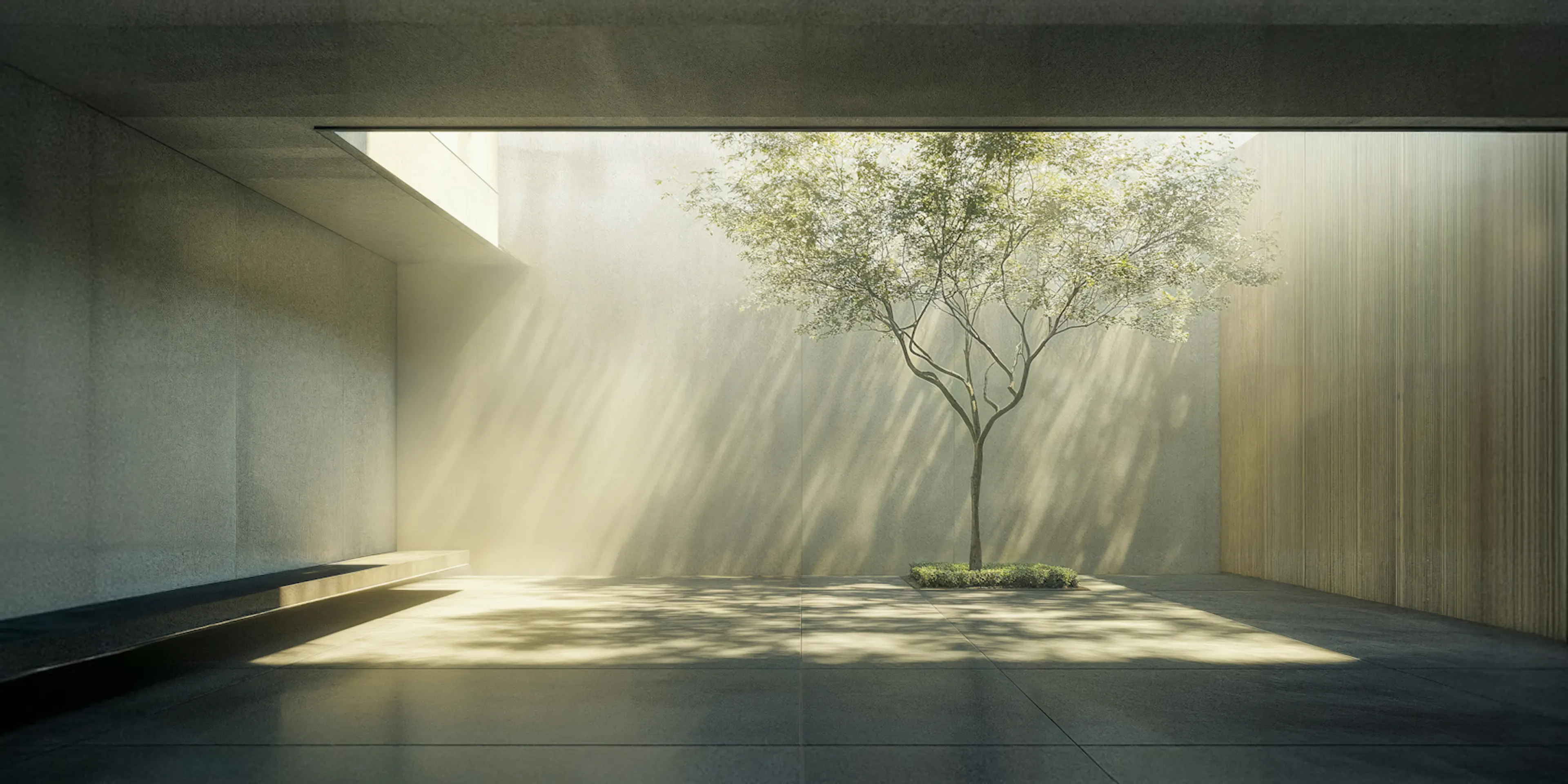 Minimalist courtyard with a slender tree in a recessed planter, sunlight cutting across concrete and timber walls