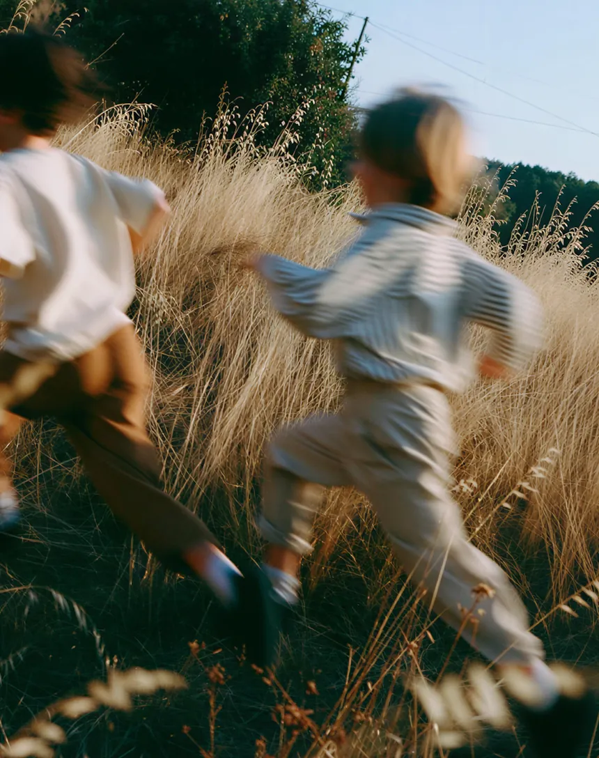 Nox product UI — motion study through tall grass